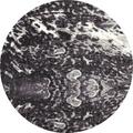 Art Carpet 5 Ft. Titanium Collection Seafoam Woven Round Area Rug, Gray 841864116560